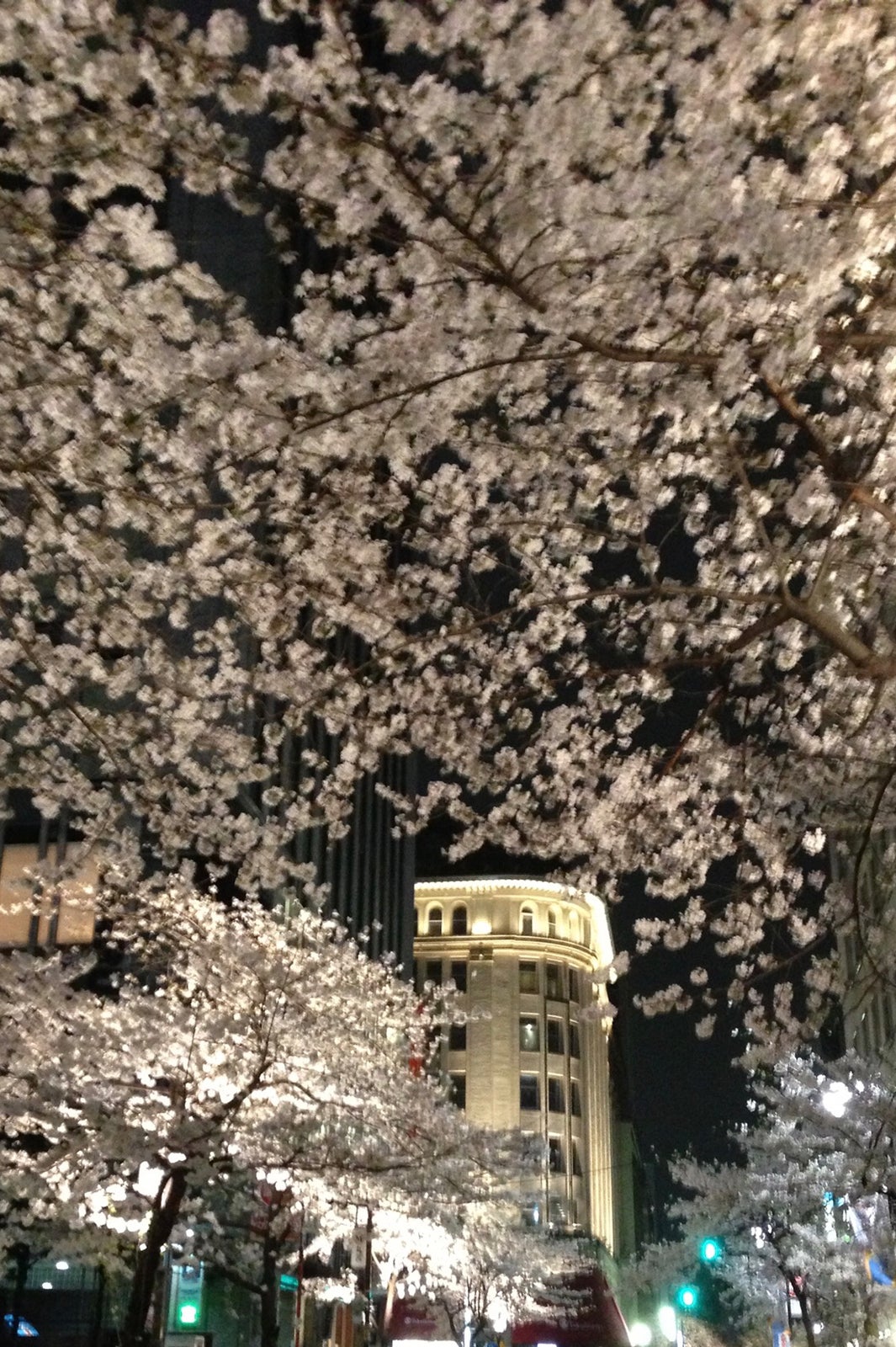 八重洲さくら通り（提供写真）