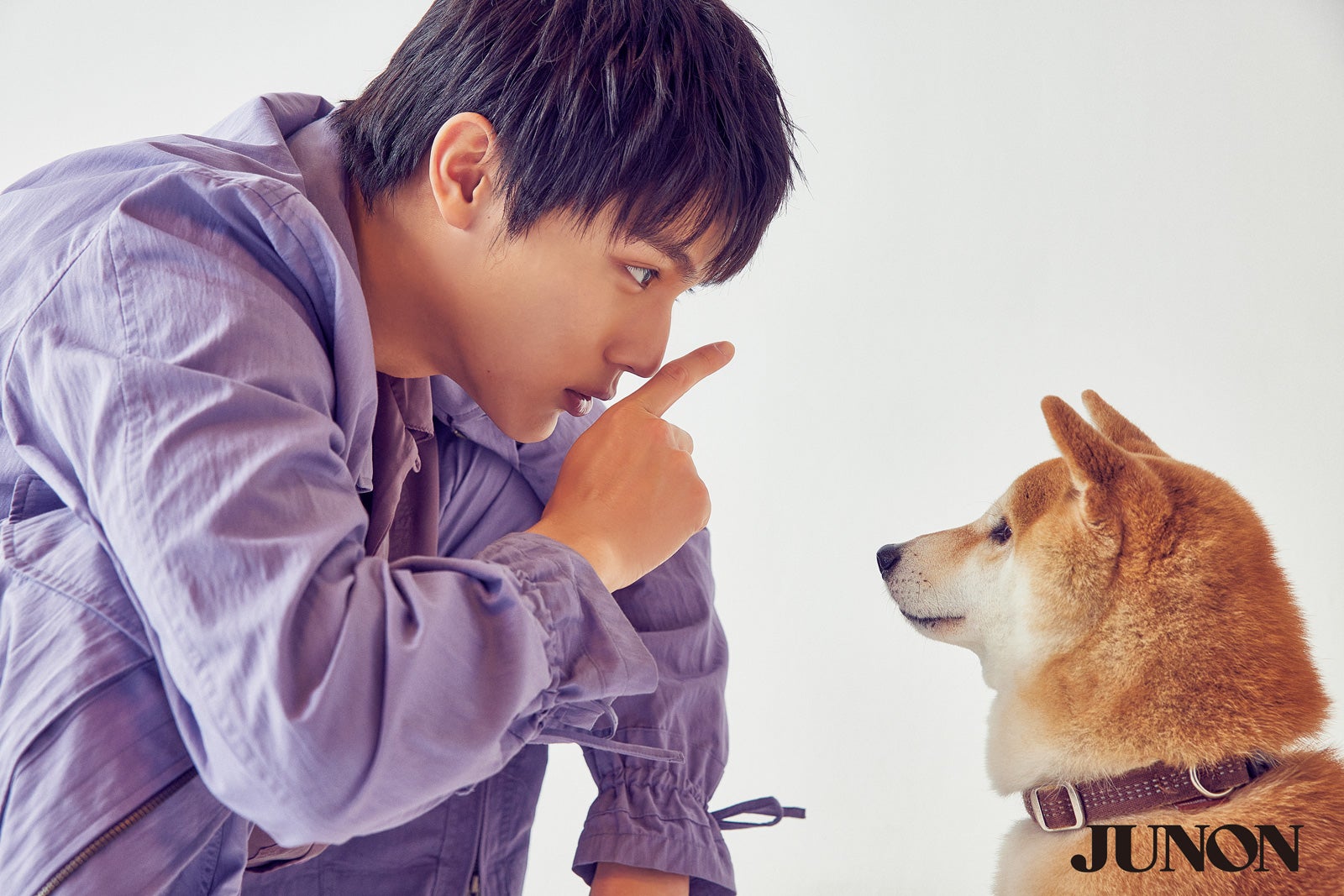 中川大志 プライベートもリアルに犬部 愛犬エピソード語る モデルプレス