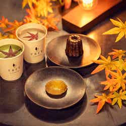 NAKED紅葉の新宿御苑2023/提供画像