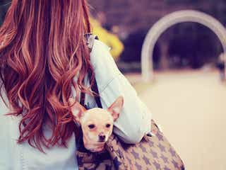 態度から分かる“彼の恋愛真剣度”5項目 その恋本当に大丈夫?