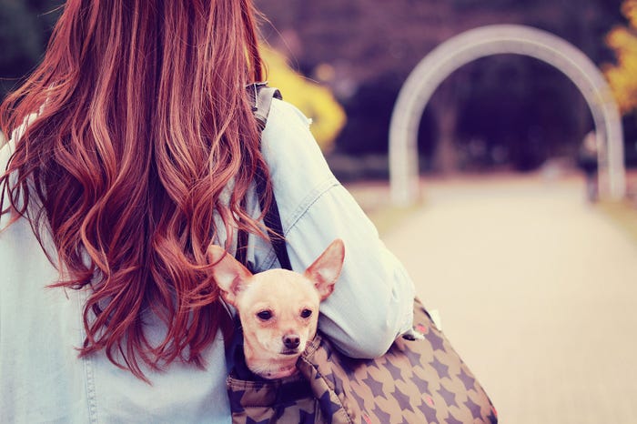 元気な犬系男子を可愛がってみる?/photo by GIRLY DROP