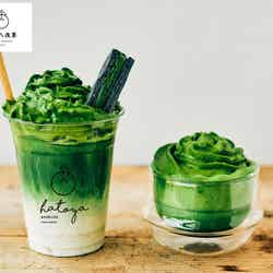 抹茶バターサンドラテフロート、新作トッピングの泡抹茶/画像提供:room