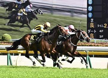 【メトロポリタンS】ウエストナウ 頭差接戦制す 高杉「スムーズな競馬ができました」