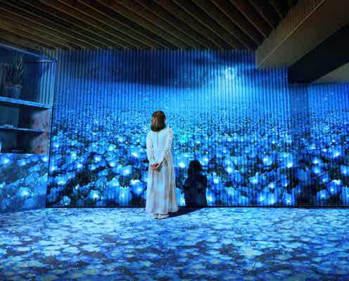 ホテルで春の絶景を堪能!茨城・BEB5土浦で“ネモフィラ”イベント開催