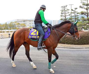 【高松宮記念】レイピアは7枠14番 陣営「申し分ない枠」 初のG1挑戦へ気合