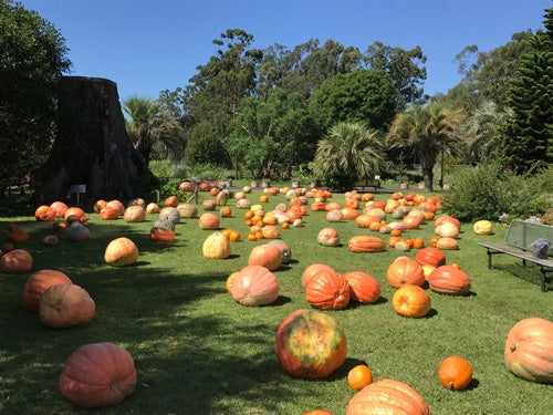 ハロウィン・パーティー