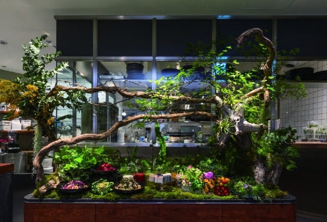 「コスメキッチン アダプテーション」表参道ヒルズに2号店が誕生