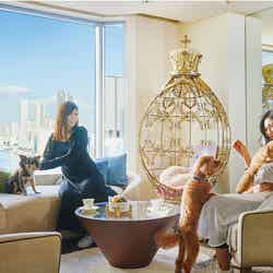 ドッグフレンドリールーム/画像提供:ベストホスピタリティーネットワーク