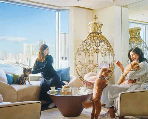 ホテルインターコンチネンタル東京ベイ、愛犬と泊まれる「ドッグフレンドリールーム」登場