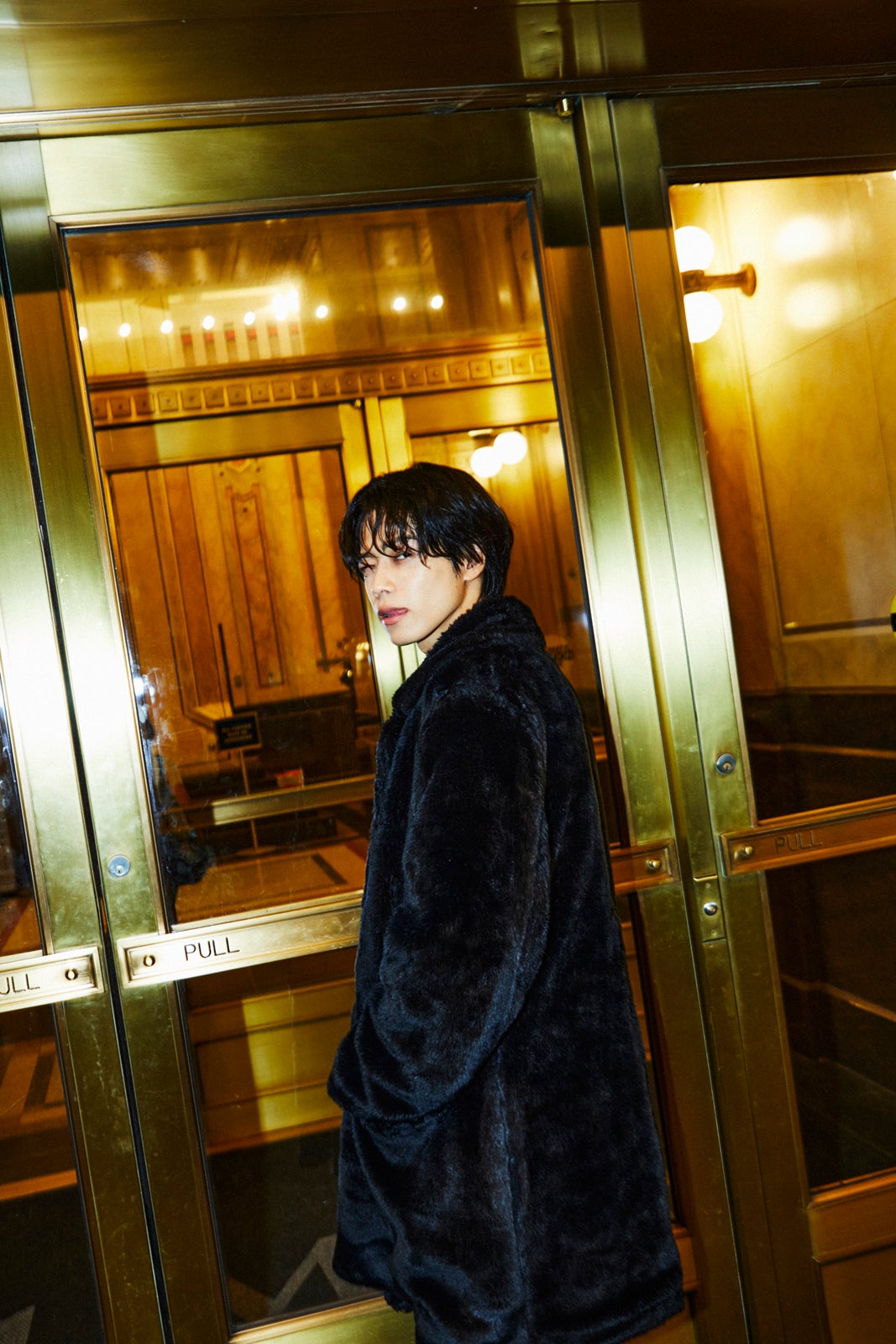 やまと（提供写真）