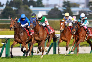 【フィリーズR】ギリーズボールが大波乱演出 前走13着から逆襲の桜切符 10番人気激走に西塚喜び爆発