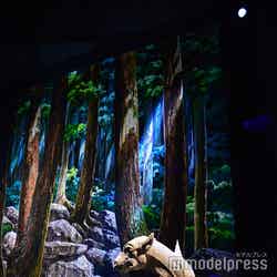 フランス館(C)モデルプレス