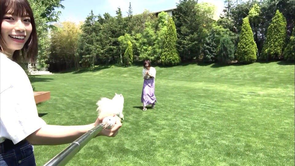 日向坂46／特典映像『はじめて○○してみた』チーム分け・企画抽選会スペシャルムービーより（提供画像）