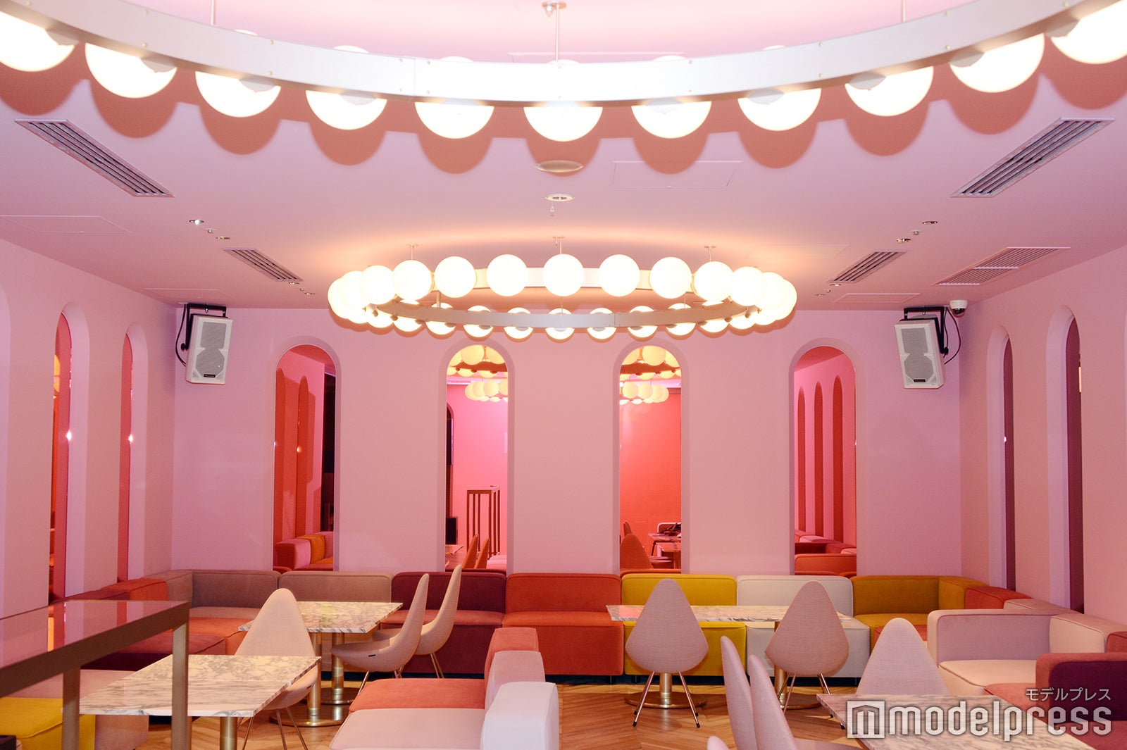 ROSE（C）モデルプレス