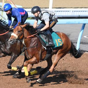 【函館2歳S】ダイメイビッグボス 重賞も一番星だ 前走より良化「使った効果はありそうですよ」