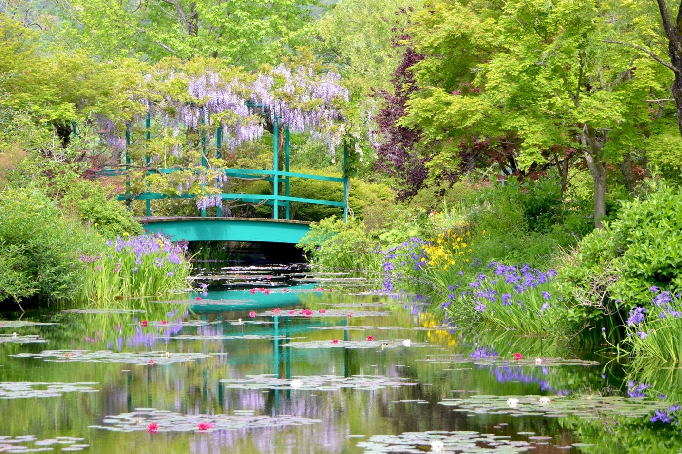 世界で2か所しかない美しい庭園「モネの庭」水の庭（高知）／提供写真