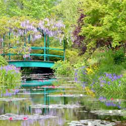 世界で2か所しかない美しい庭園「モネの庭」水の庭（高知）／提供写真