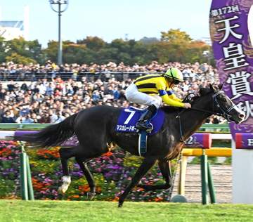 マスカレードボールは25年Vの天皇賞・秋へ向かう