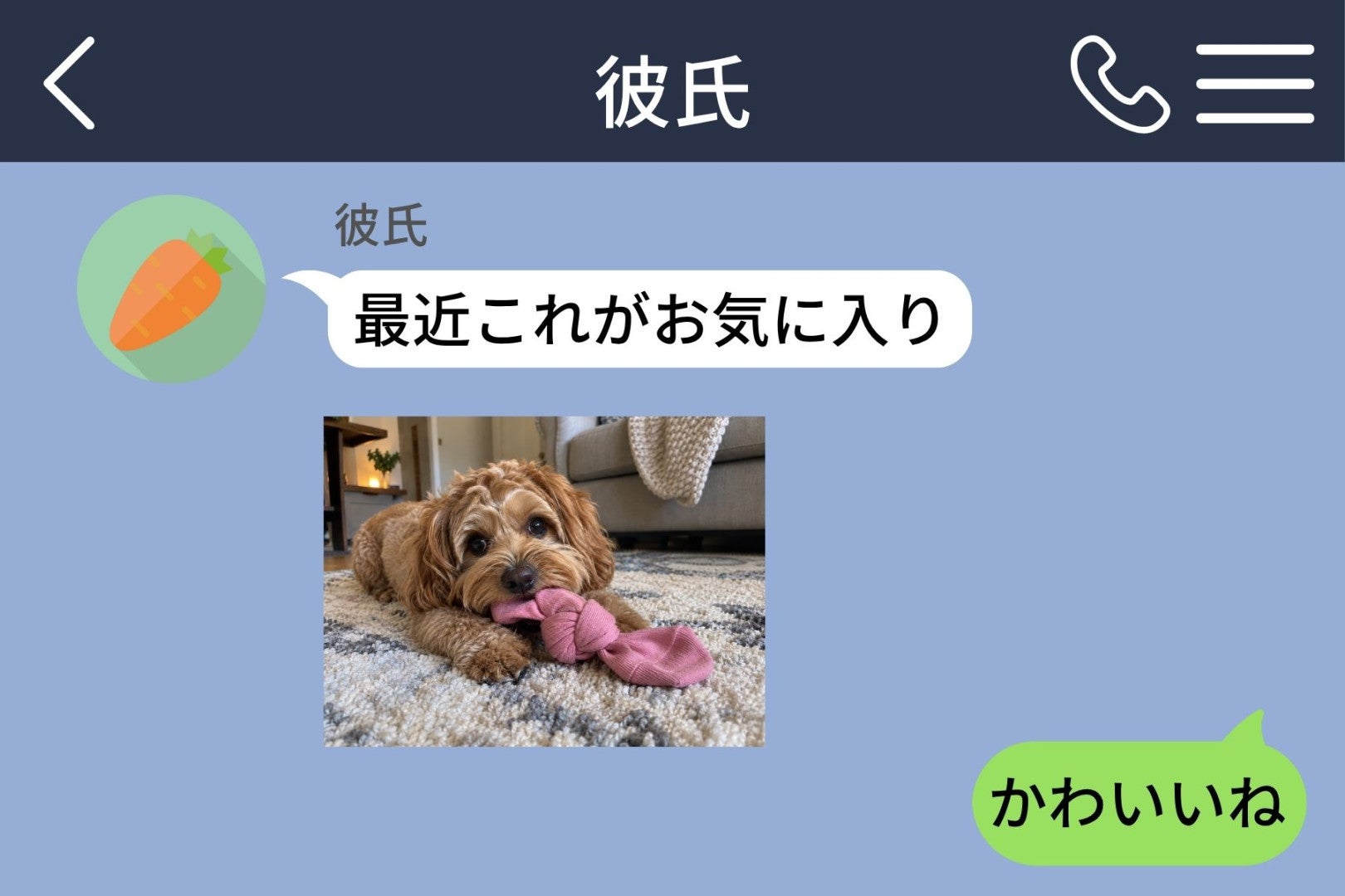 片方だけ残った靴下を結んで愛犬の前に置いてきた、帰りの電車で届いたのは２つの結び目の写真