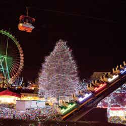 昨年の園内の様子/画像提供:よみうりランド