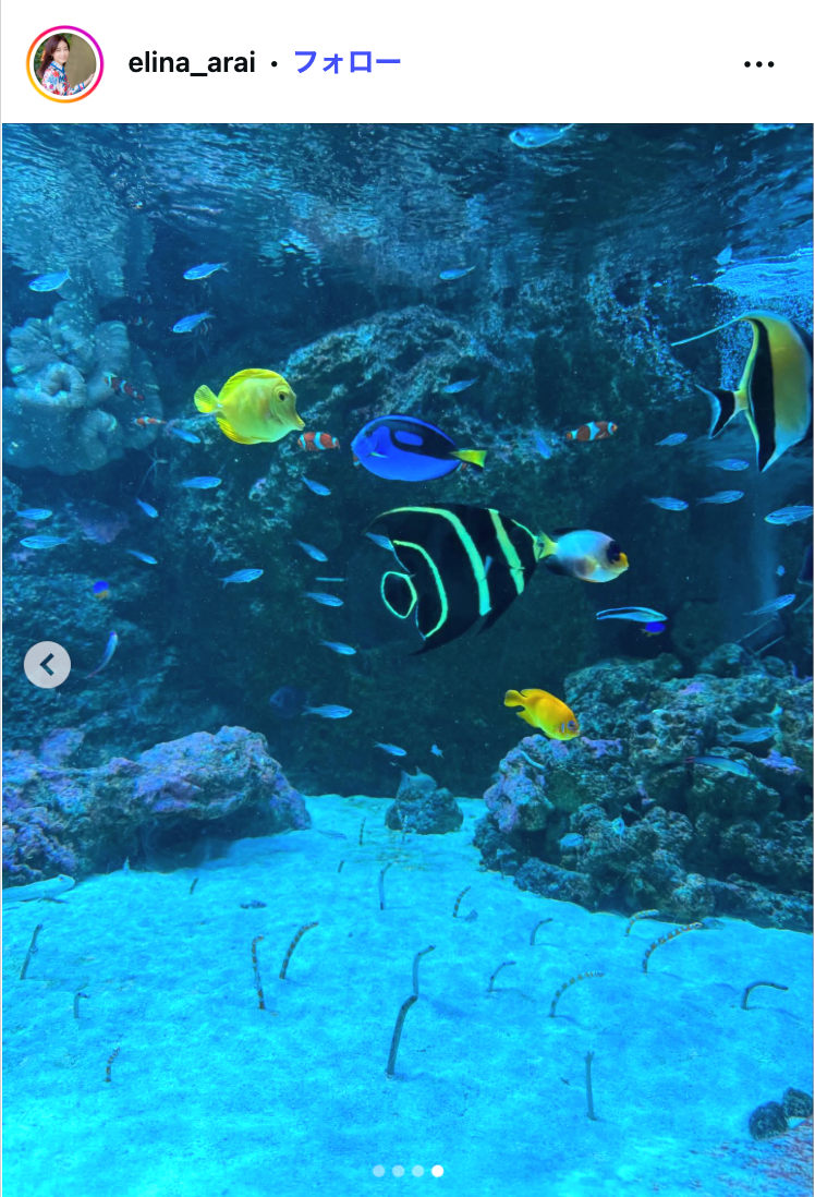 新井恵理那Instagramより