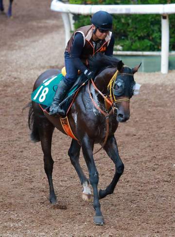 【新馬戦】ブレイズフォート 夏の尾張でベール脱ぐ 叔母はG1.4勝馬リスグラシュー 高野師「素直な子。指示にも従順」