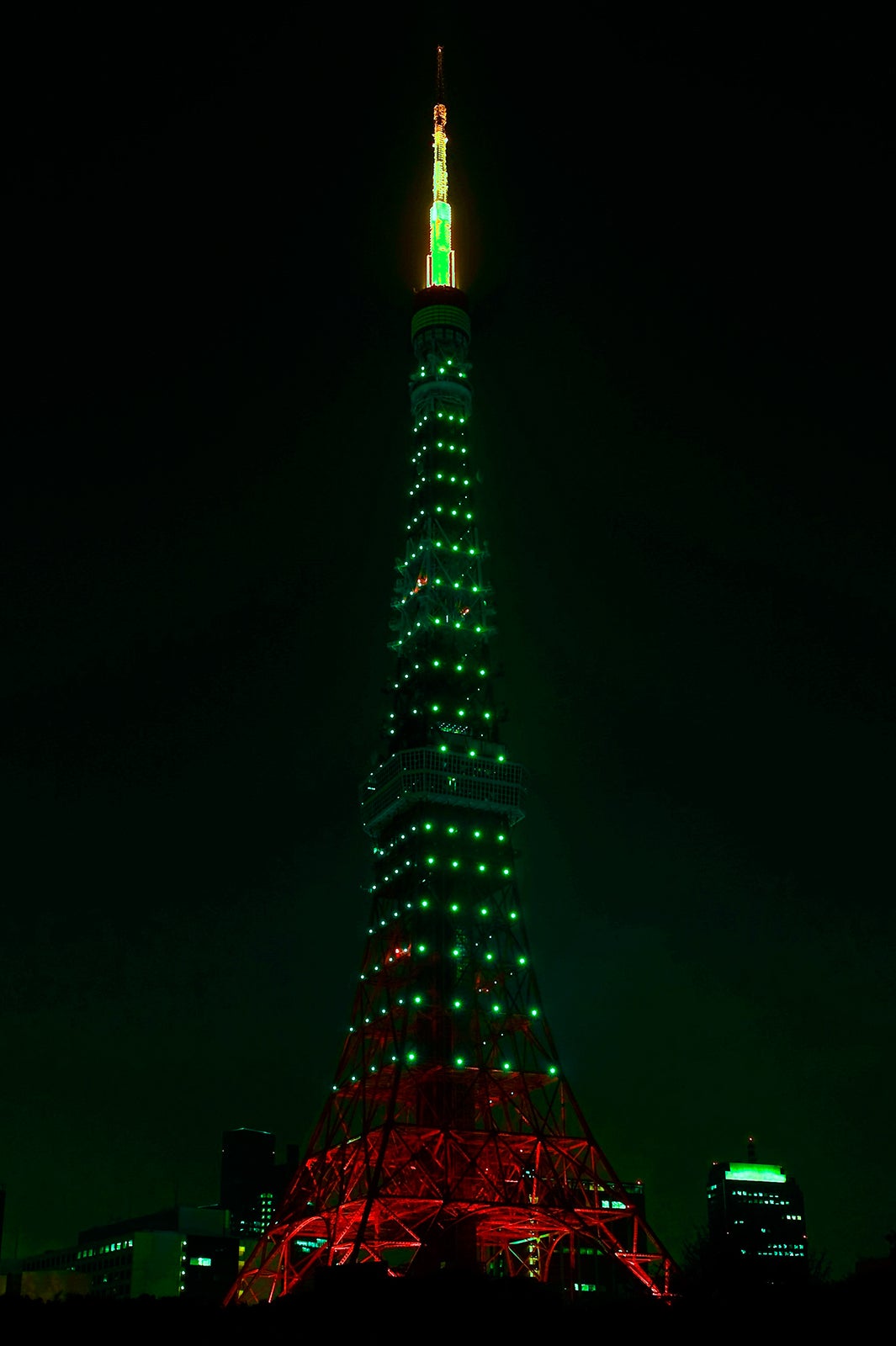 東京タワーで「山の日」限定ライトアップ　緑1色の特別な輝き放つ／画像提供：東京タワー