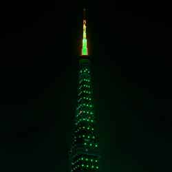 東京タワーで「山の日」限定ライトアップ 緑1色の特別な輝き放つ/画像提供:東京タワー