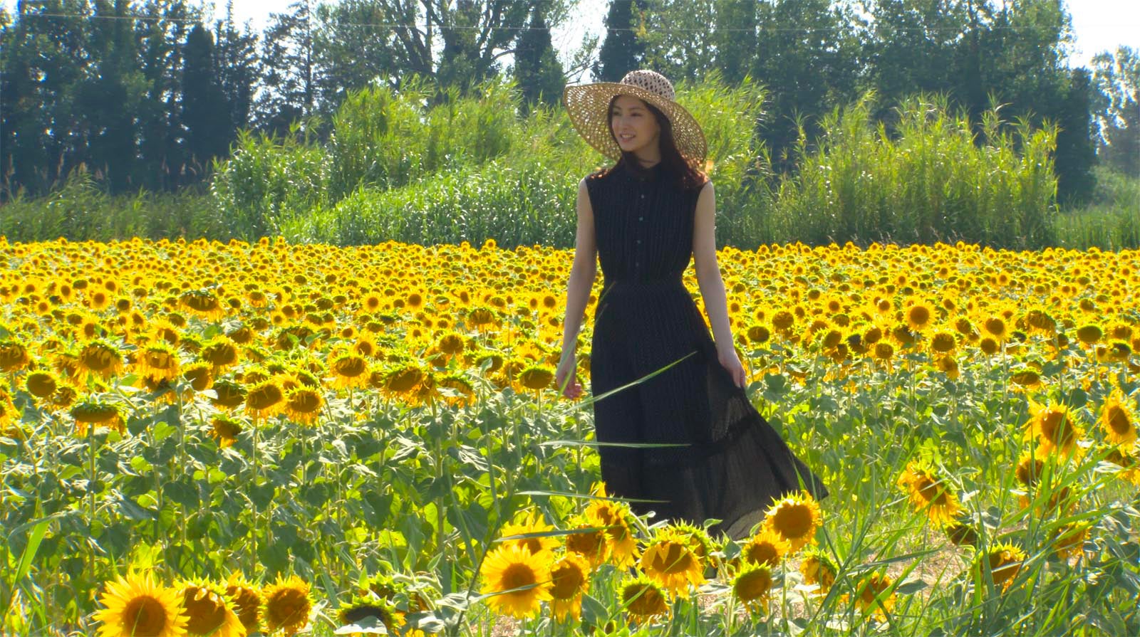 北川景子「感じたことを感じたままに偽りなく話そう」謎に迫る旅へ