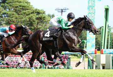 【関越S】エストゥペンダ 豪快差し切りV 荻野極「馬の雰囲気、走りともにとてもいい状態だった」