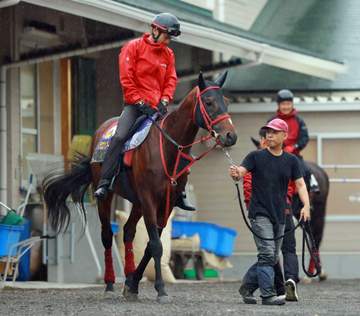 【安田記念】ドラゴンブースト G1舞台で波乱演出なるか 藤野師が認める進化「順調に調整できて、雰囲気がいい」