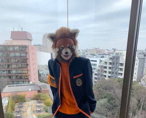 高杉真宙、“レッサーパンダ”姿で「ゴチ」新メンバー決定を報告「先輩方にたくさんゴチになれるように」