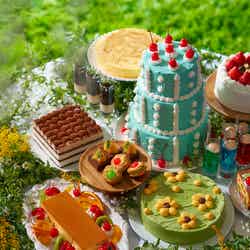 Healing Garden -New Retro Sweets×Glamping Recipes-/提供画像