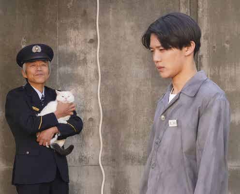 少年忍者初主演「文豪少年!」追加出演メンバーも オールキャスト&場面カット解禁