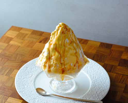 鳥取砂丘前にかき氷専門店「さんかく氷」プリンがかき氷になった“プリン氷”提供