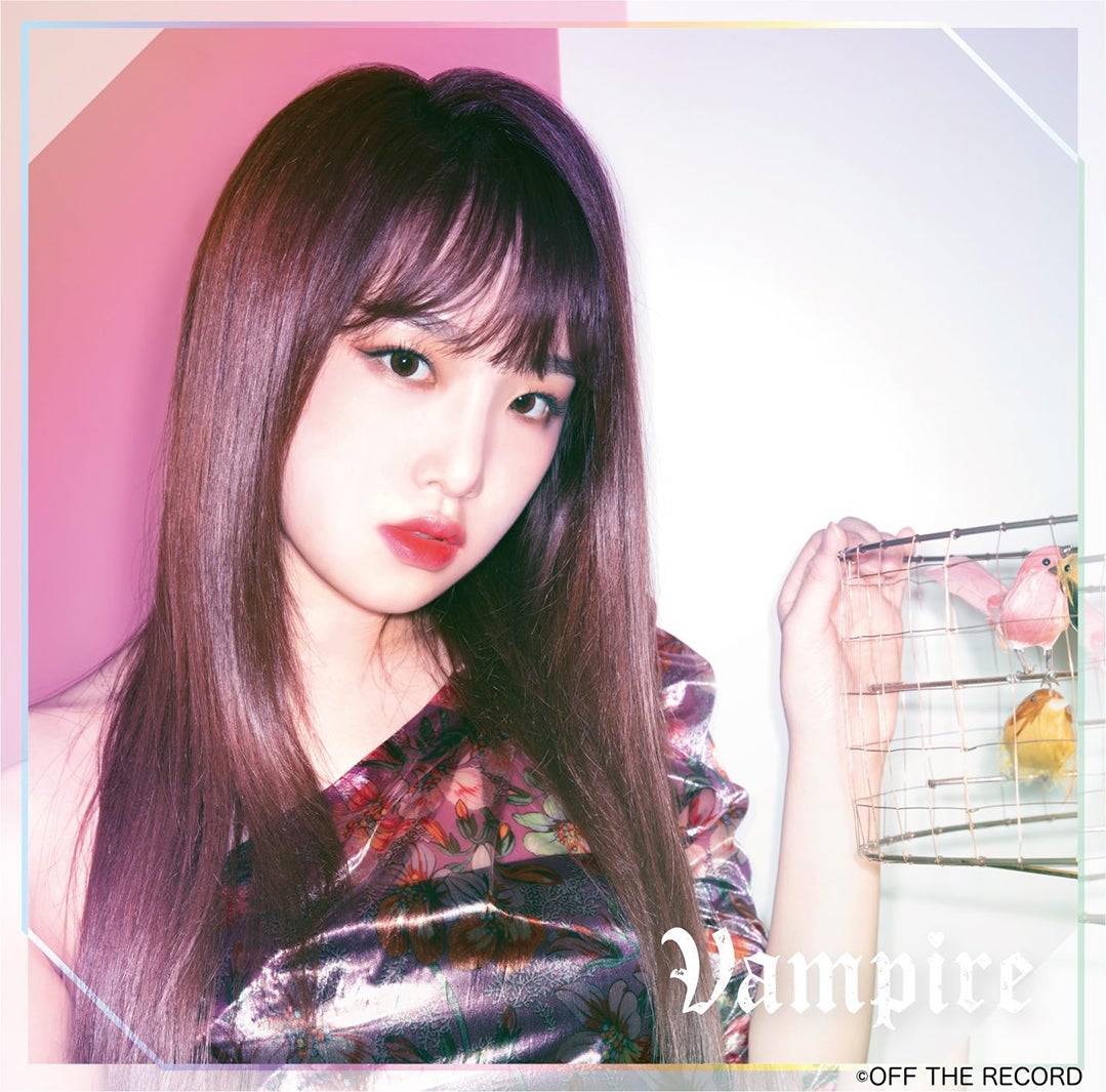 IZ*ONE Vampire WIZ*ONE盤 CDBOX ブルーレイ | sarayduzu.bel.tr