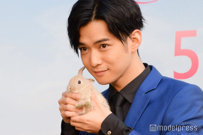あざと可愛くウサギと戯れる千葉雄大 (C)モデルプレス