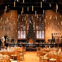 Warner Bros. Studio Tour Tokyo – The Making of Harry Potter.
