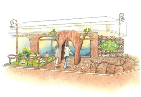 mipig cafe 原宿／画像提供：SaLaD