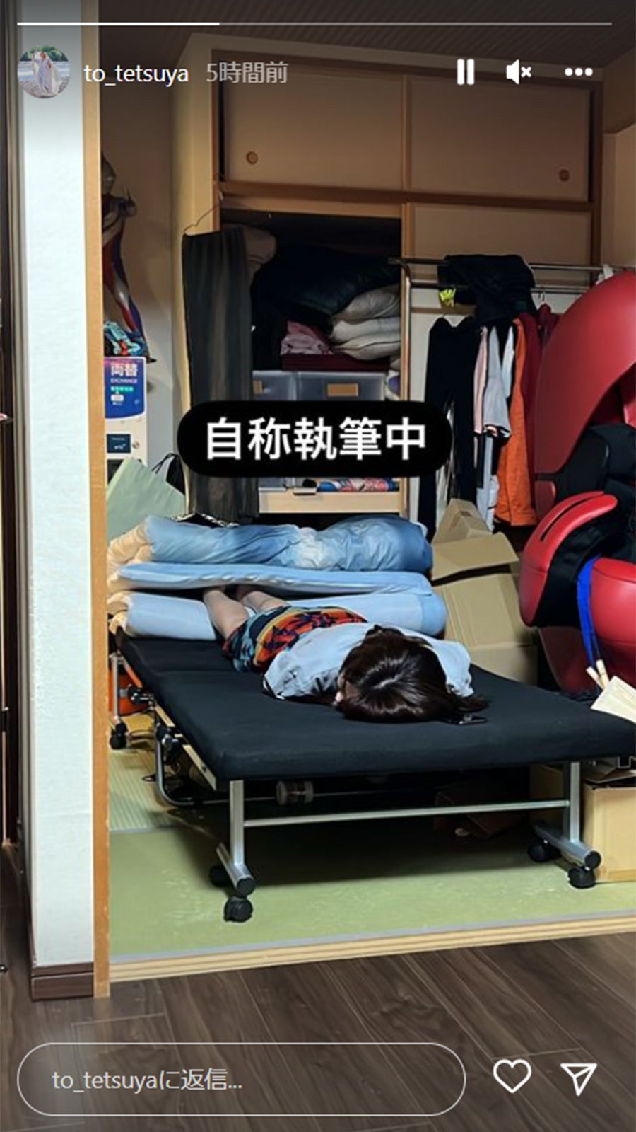 峯岸みなみ／てつやInstagramストーリーズより