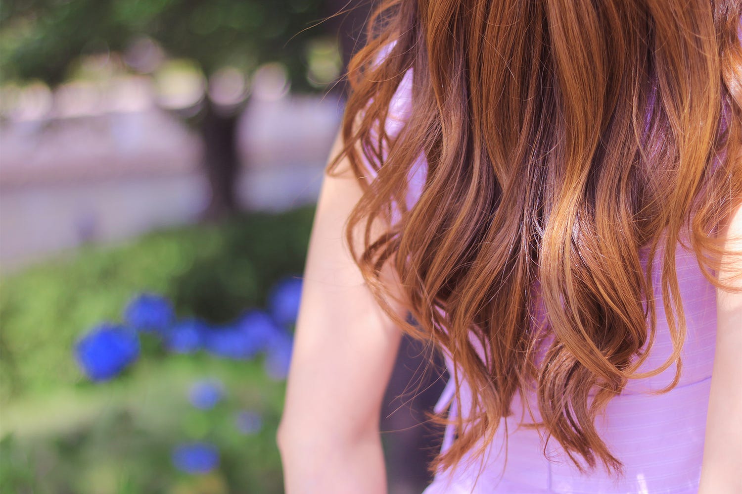 【2018年6月版】代々木公園の野外イベント総ざらい!世界のグルメに初の焼酎&音楽フェスも