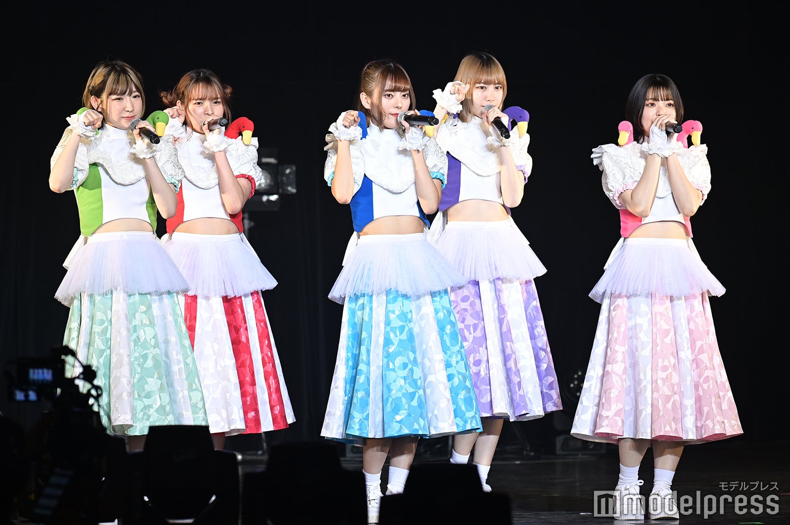 豆柴の大群（C）モデルプレス