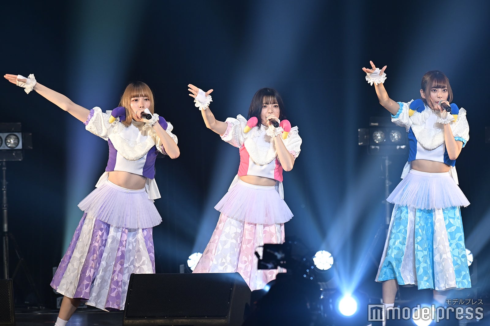 豆柴の大群（C）モデルプレス