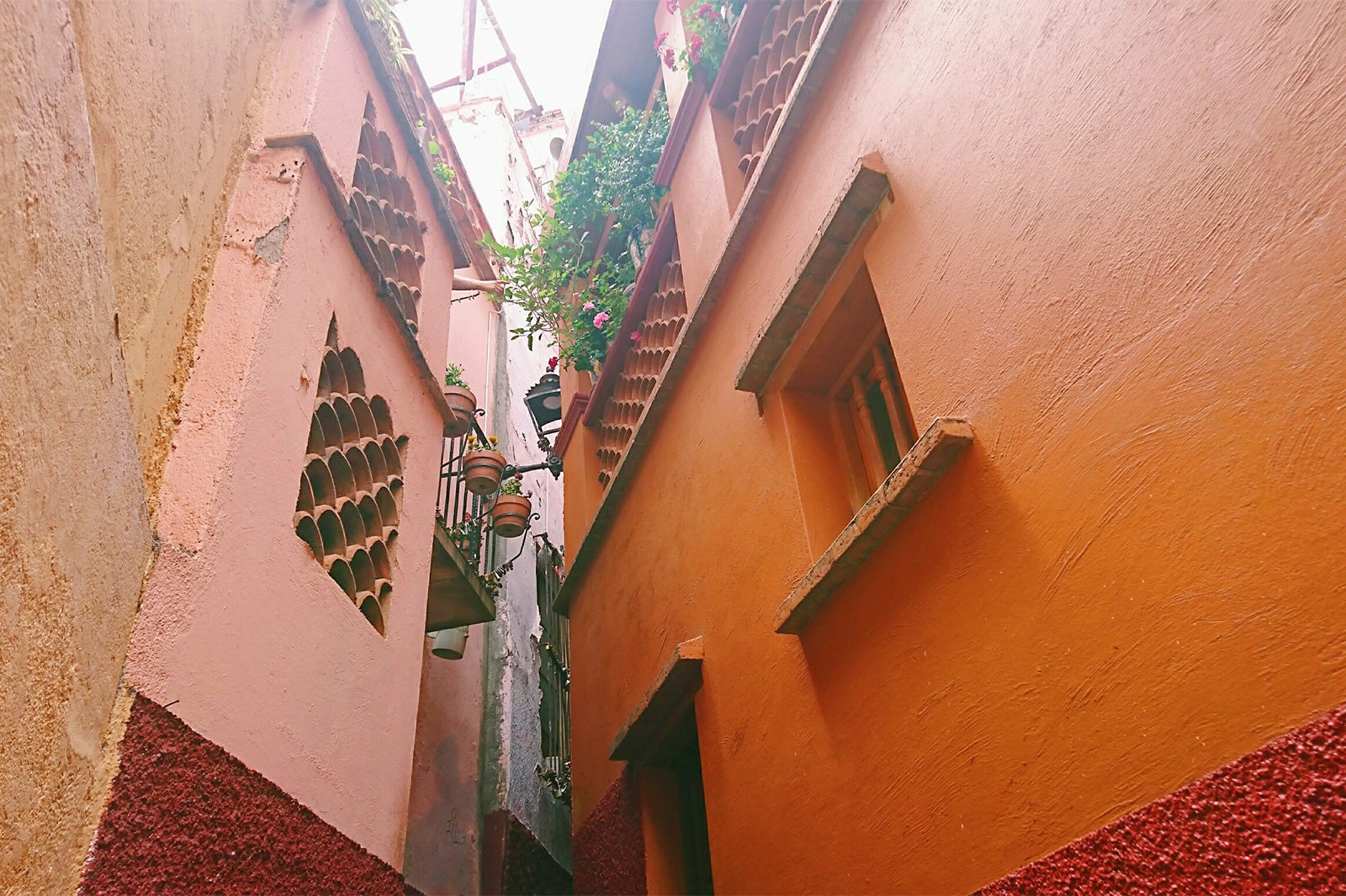 画像提供：所属事務所