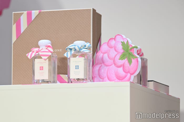 限定コレクション「ラズベリー リップル」(C)モデルプレス