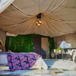 ウッドデザインパークいちのみや-紡-/画像提供:ウッドデザインパーク