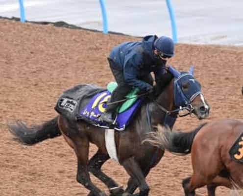 【菊花賞】レイヤードレッド 嶋田&手塚久師とは所縁の血 雨予報は歓迎!「競馬は上手な馬だし、リズム良く運びたい」