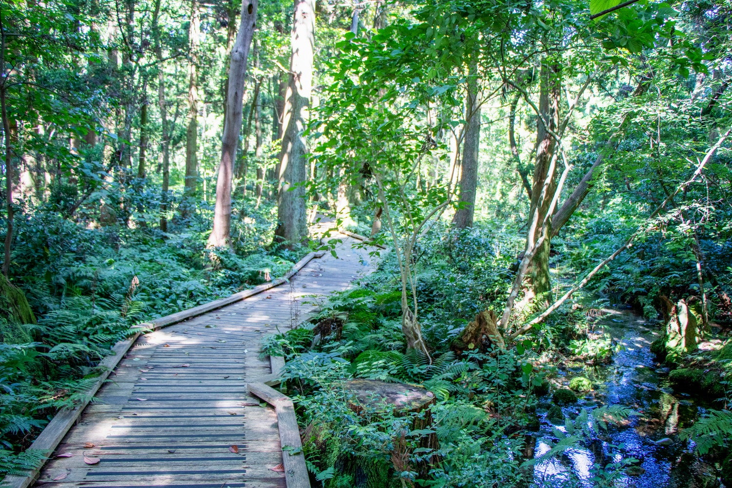 とやま観光ナビ 特集「人生を楽しむ、20のSTORY 富山旅 10to5」