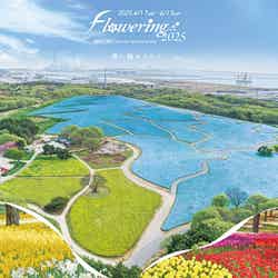 国営ひたち海浜公園/提供画像