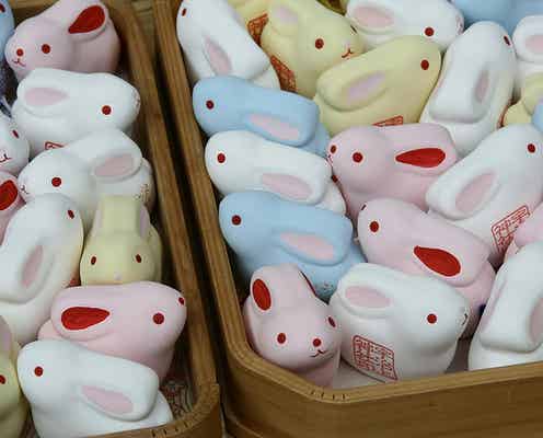 京都のかわいいおみくじスポット6選